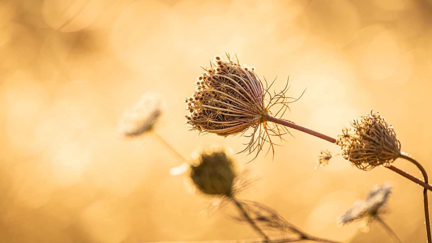Finding Stillness In A Busy World
