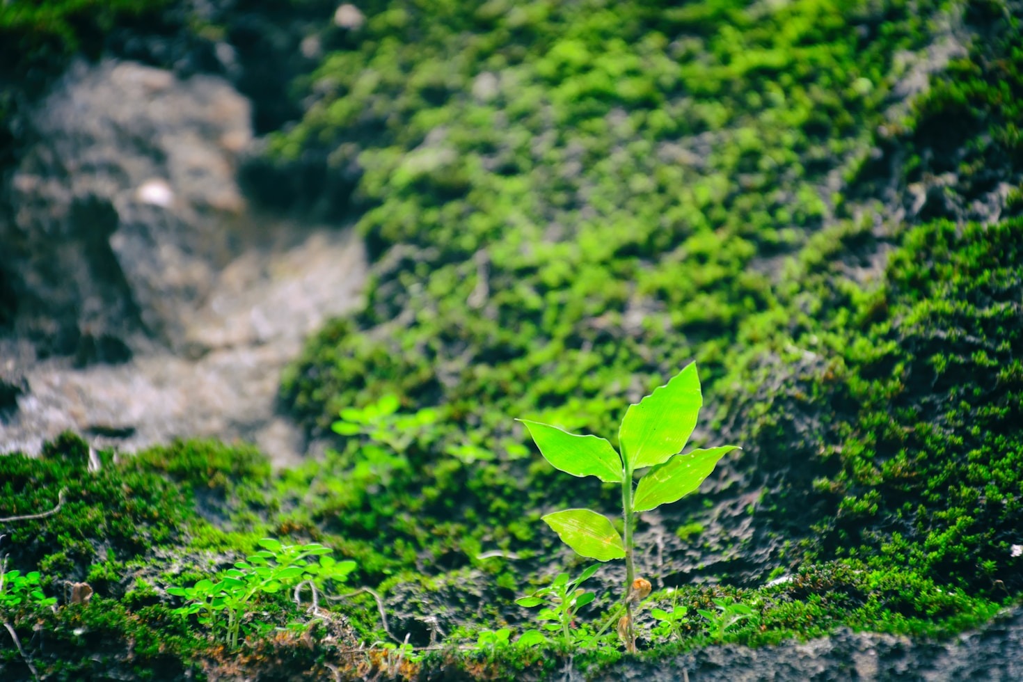 The Power Of Daily Prayer Habits